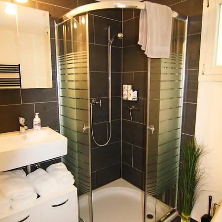 Apartment Gemuetliches Alpen-chalet Auf 1600m Hoehe Malix